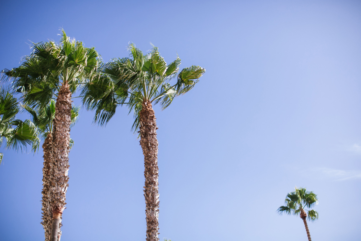 Destination wedding photographer southern california weddings rancho palos verdes beach wedding