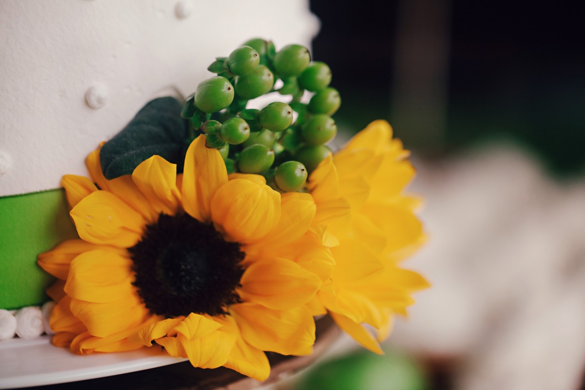 Missoula Wedding Photography, Montana Weddings, Destination Weddings